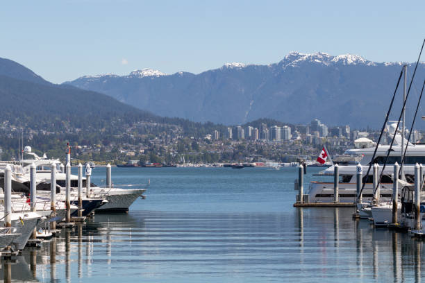 terreno montanhoso visto no fundo atrás de uma marina de barcos no centro de vancouver, bc - vancouver harbor vancouver harbor marina - fotografias e filmes do acervo