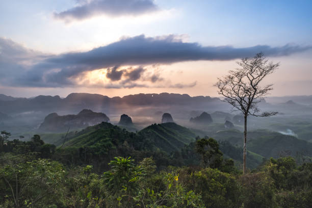 istock Landscape of mountain 1307513018