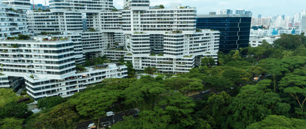 istock Smart homes in Singapore surrounded by tropical rainforest 1307514709