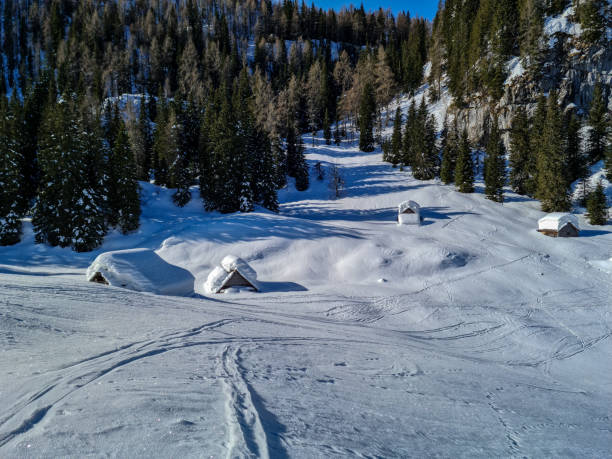 istock Mountain huts on mountain pasture Jezero 1307515310