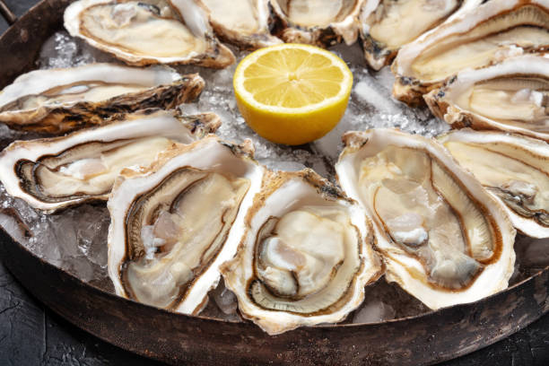 Oysters close-up. A dozen of raw oysters on a platter Oysters close-up. A dozen of raw oysters on a platter, with lemon oyster photos stock pictures, royalty-free photos & images