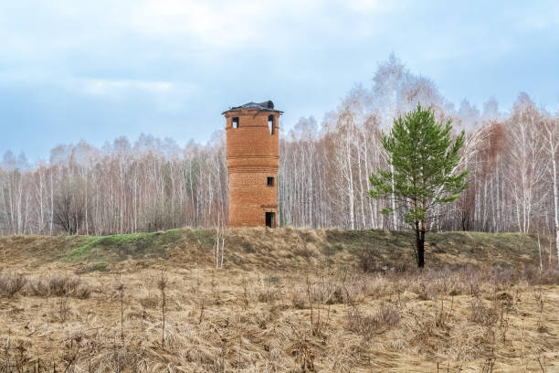 istock In a clearing near the forest there is an abandoned water tower 1307517191