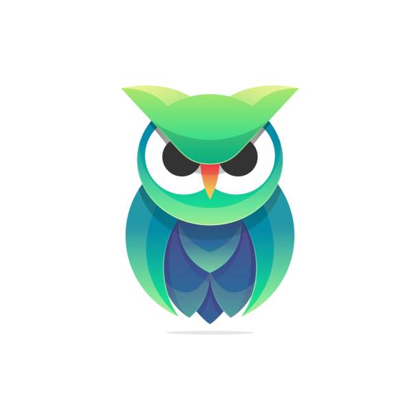 15,603 Green Owl Stock Photos, Pictures & Royalty-Free Images - iStock