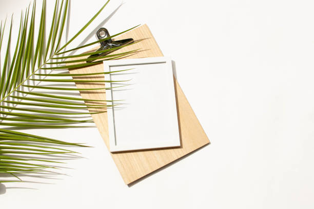 istock Empty frame place for text and leaf of palm tree shadow on white background. Flat lay style 1307521574
