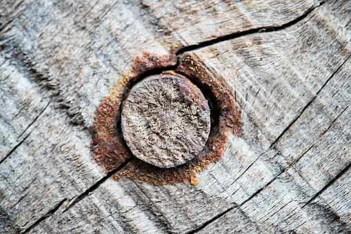 Close up macro of Old rusty nail heads on old Wood Background