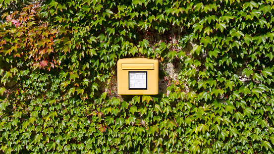 Kochelsee, Germany - Oct 1, 2020: Mailbox (offline) between ivy. Symbol for writing a letter, sending a message, environment-friendly post delivery service.