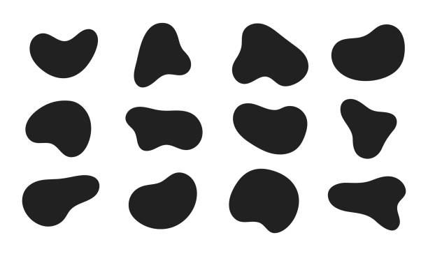 12 современная жидкость нерегулярные капли формы абстрактных элементов графический плоский дизайн стиля - microscopic animal stock illustrations