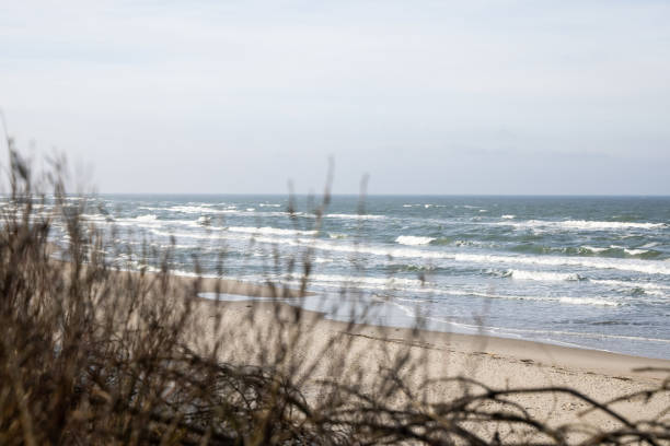 istock Beautiful view of wavy sea on a sunny day with dramatic clouds. 1307524674