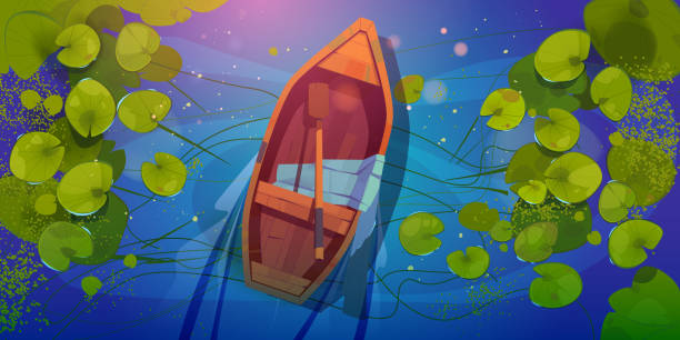 ilustrações, clipart, desenhos animados e ícones de barco de madeira na vista superior do lago, skiff com raquete - marsh swamp plant water lily