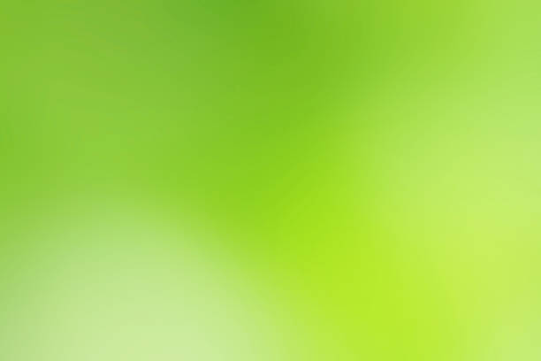 istock Abstract Background, Textured Effect, Green - Yellow Color Gradient, Defocused, Blurred Motion 1307533672