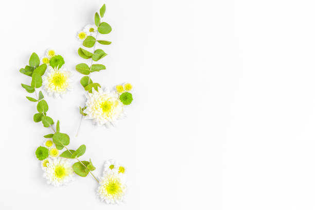 istock Creative layout composition of flowers on pastel background. 1307535690