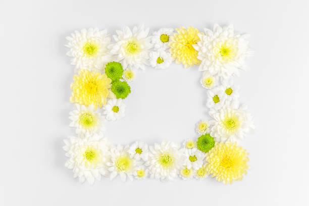 istock Creative layout composition of flowers on pastel background. 1307535744