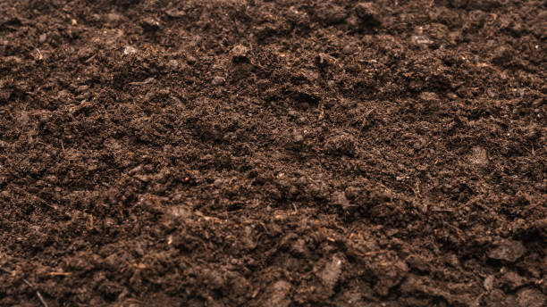 istock Black land for plant background. 1307537849