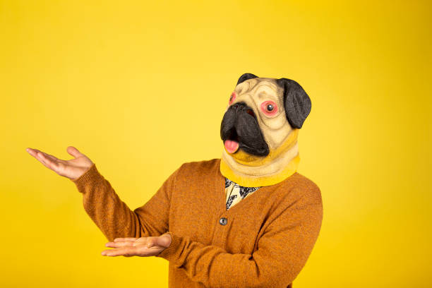 istock Expressive man with pug mask on a yellow wall with space for text 1307539165
