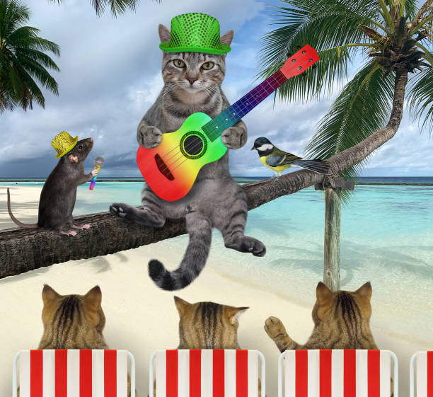 istock Cat gray with guitar on palm tree 3 1307539576