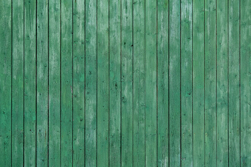 Wooden wall with green planks, full frame, design, copyspace, graphic, background, texture