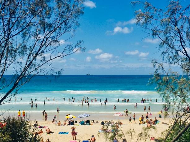 férias na praia de verão tropical - tree large group of people sand sunbathing - fotografias e filmes do acervo