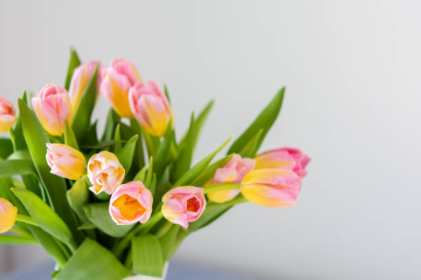 istock Spring bouquet of pink tulips 1307544399