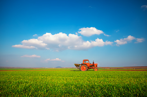 Tractor fertilizing wheat field