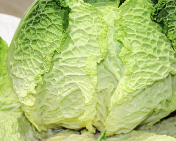 istock A close look at the structure of the cabbage 1307554637