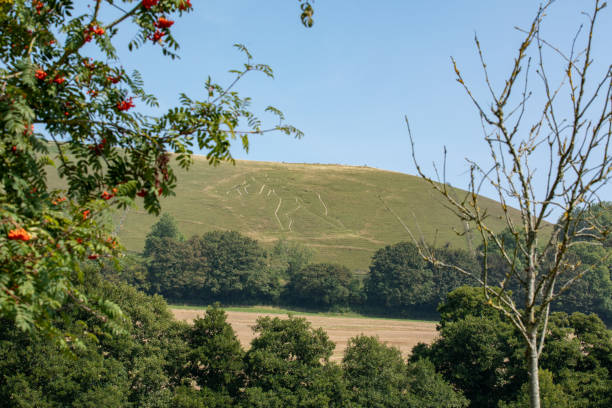 Cerne Abbas Giant A distant view of a great British wonder. cerne abbas giant stock pictures, royalty-free photos & images