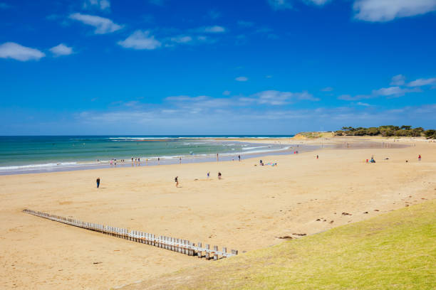 istock Torquay Main Beach in Australia 1307556782