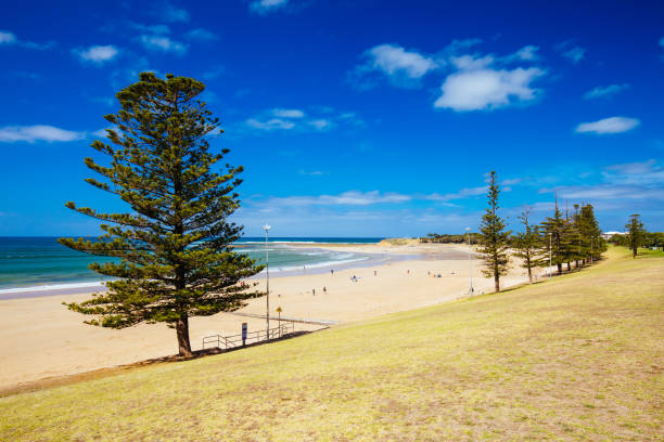 istock Torquay Main Beach in Australia 1307556792
