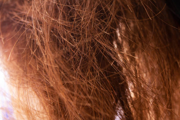 istock Red hair close up, background or texture 1307559538