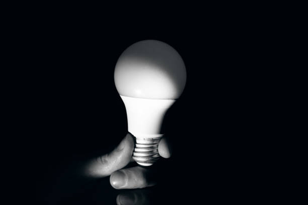 istock Light bulb in hand in the dark 1307560617