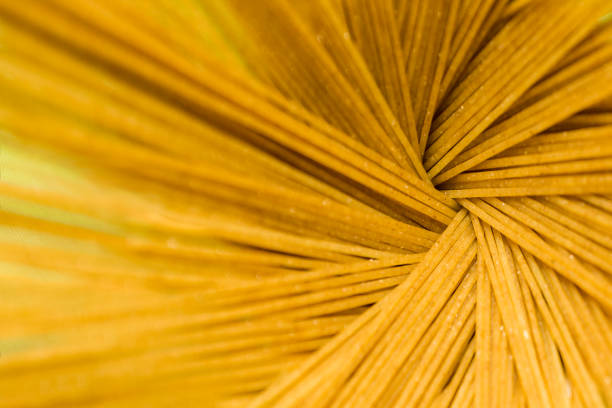 istock Spiral macro shot of raw egg pasta 1307563404