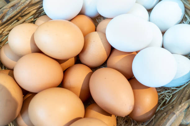 istock A photo of an egg in a basket 1307563498