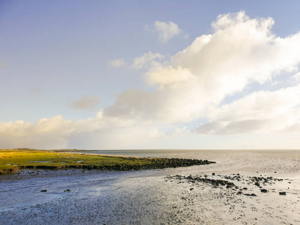 paisagem de salt creek mar de wadden - wadden wadden sea unesco world heritage site sea - fotografias e filmes do acervo