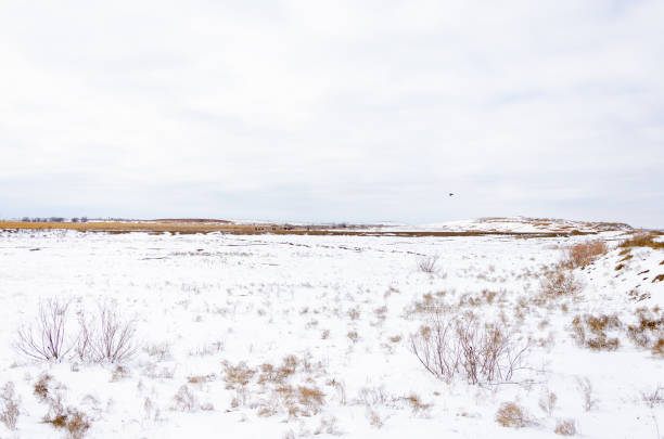 istock A snowy field on a winter day 1307564918