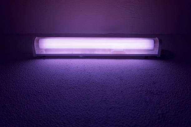istock UV quartz fluorescent lamp is glowing. 1307567249
