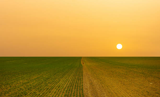 Agricultural landscape affected by drought and water shortages Lack of water, drought and hot sun on the horizon waterless stock pictures, royalty-free photos & images