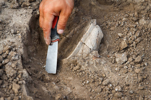 Archaeological excavations, archaeologists work, dig up an ancient clay artifact with special tools stock photo