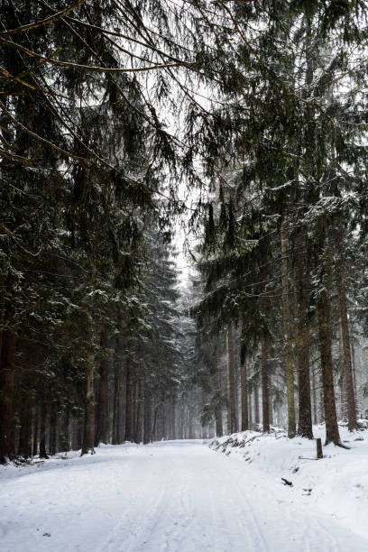 istock Winter road among the forests in the mountains. 1307573362