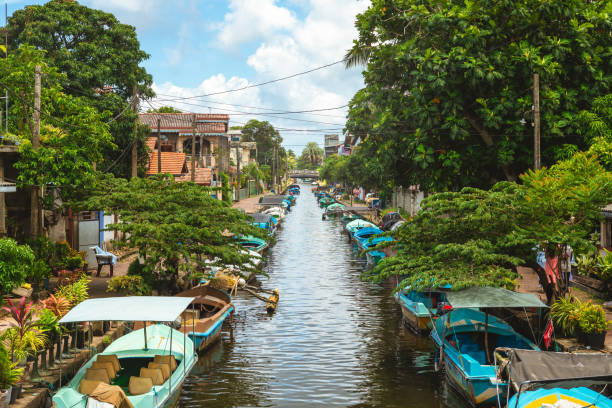 hamilton canal - dutch colonial - fotografias e filmes do acervo