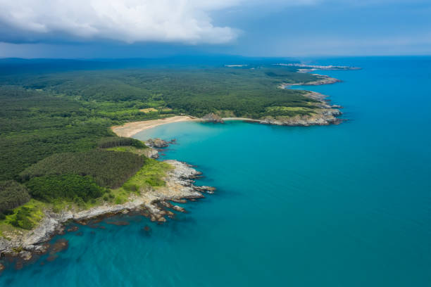 istock Aerial panoramic view of picturesque coastline 1307576100