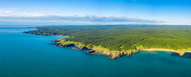 istock Aerial panoramic view of picturesque coastline 1307576155