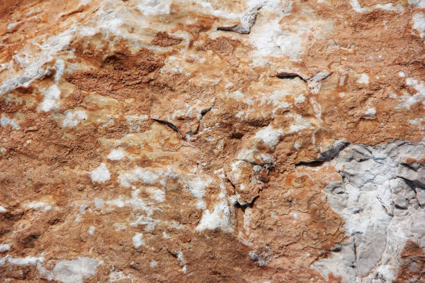 istock texture of natural brown stone with inclusions 1307576284