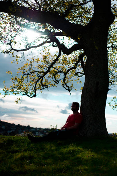istock Silhouette of sitting man. 1307576354