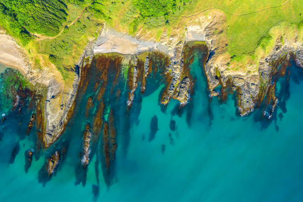 istock Aerial view over beautiful sea cliffs 1307577079