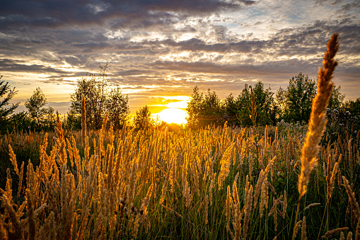 Beautiful sunset sky over a grassy meadow