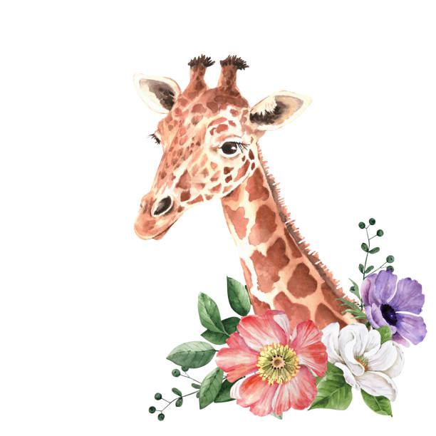 꽃의 섬세한 꽃다발을 가진 동물 어린 기린, 일러스트 수채화 손 그린 - animal animal neck cute safari animals stock illustrations