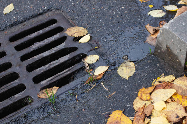 istock Yellow autumn leaves on sewer grate on road 1307578840