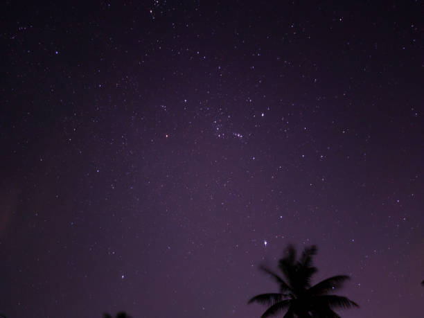 istock Star universe background, Starry sky with Milky way seen from mountain through trees in forest 1307579183