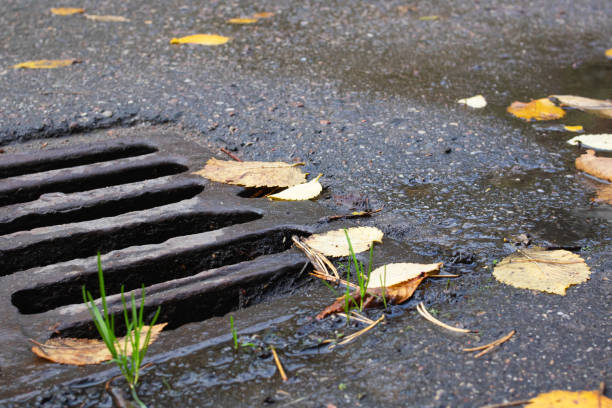 istock Yellow autumn leaves on sewer grate on road 1307580519