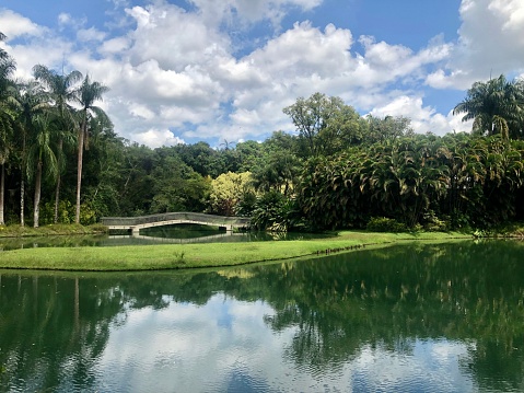 This image captures the serene and unique setting of the Tropical Spice Farm in Goa, emphasizing its idyllic water features and the distinctive floating bridge. The farm is cradled in a landscape where tranquil water bodies are a defining element, adding to the lushness of the environment. In the photograph, the water reflects the vibrant greenery, creating a peaceful and almost mystical atmosphere. The floating bridge, an innovative and eco-friendly feature, spans across one of these water bodies, allowing visitors to traverse the farm while enjoying close-up views of the aquatic flora and fauna. This image aims to showcase the harmony between natural water elements and sustainable agricultural practices, highlighting the farm as a place of ecological beauty and tranquility.