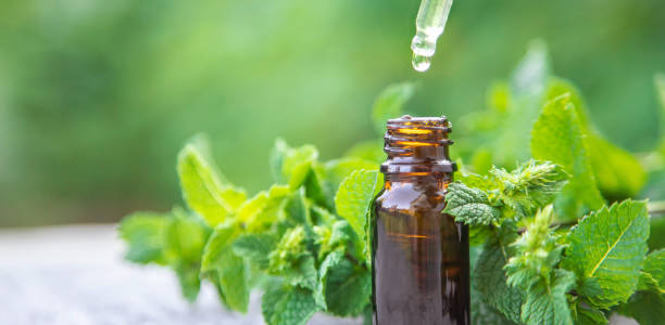 istock Peppermint essential oil in a small bottle. Selective focus. 1307581847